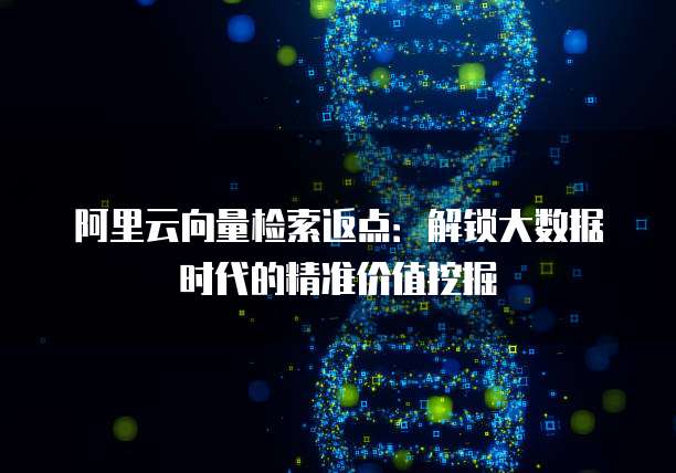 阿里云向量检索返点:解锁大数据时代的精准价值挖掘