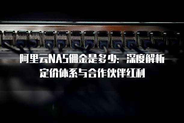 阿里云NAS佣金是多少:深度解析定价体系与合作伙伴红利