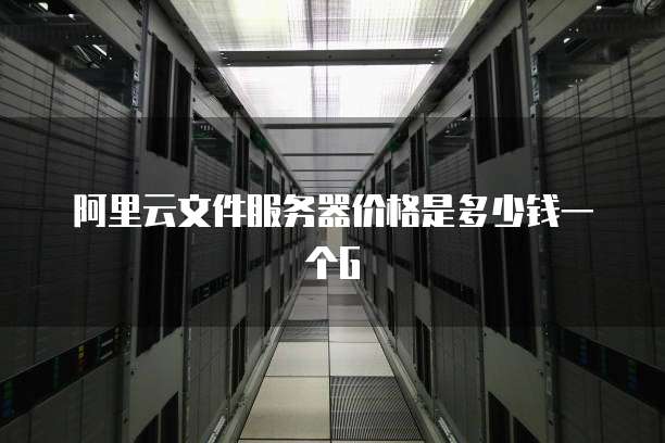 阿里云文件服务器价格是多少钱一个G