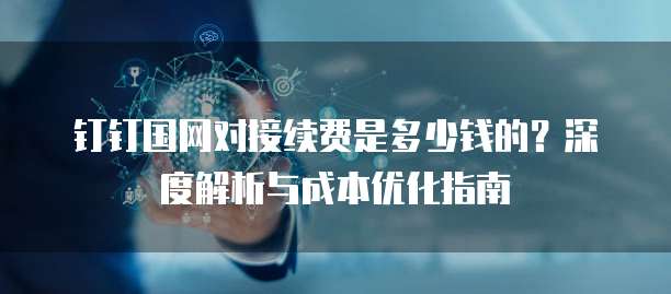 钉钉国网对接续费是多少钱的?深度解析与成本优化指南