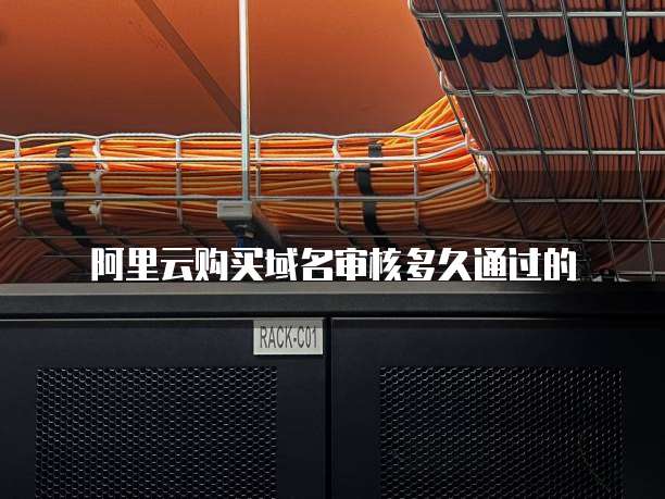 阿里云购买域名审核多久通过的