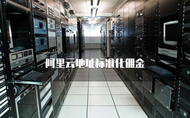 阿里云地址标准化佣金