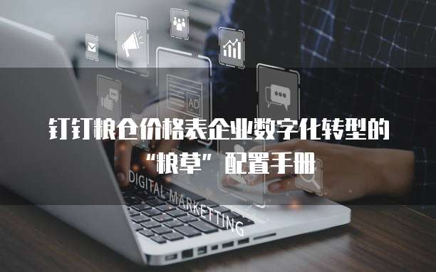 钉钉粮仓价格表企业数字化转型的“粮草”配置手册