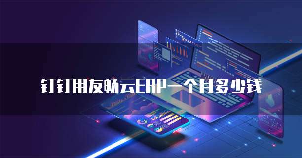 钉钉用友畅云ERP一个月多少钱