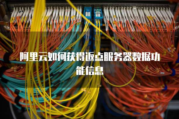 阿里云如何获得返点服务器数据功能信息