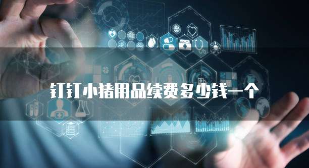 钉钉小猪用品续费多少钱一个