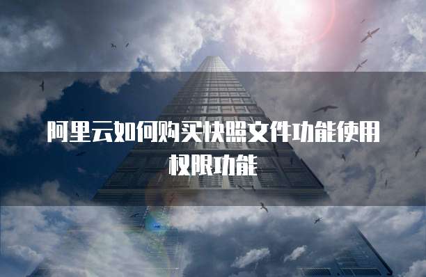 阿里云如何购买快照文件功能使用权限功能