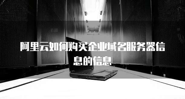 阿里云如何购买企业域名服务器信息的信息