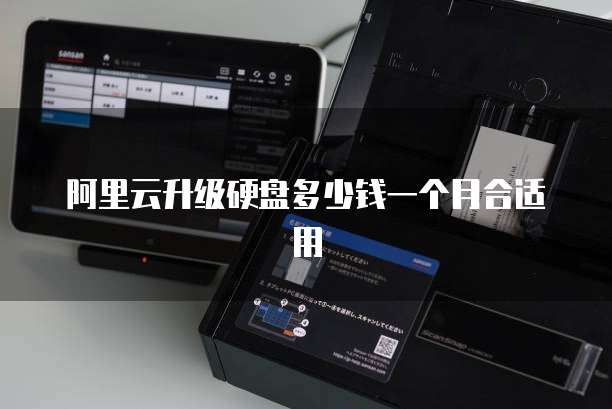 阿里云升级硬盘多少钱一个月合适用