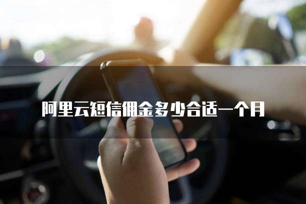 阿里云短信佣金多少合适一个月
