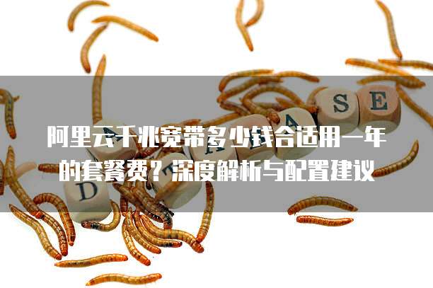 阿里云千兆宽带多少钱合适用一年的套餐费?深度解析与配置建议