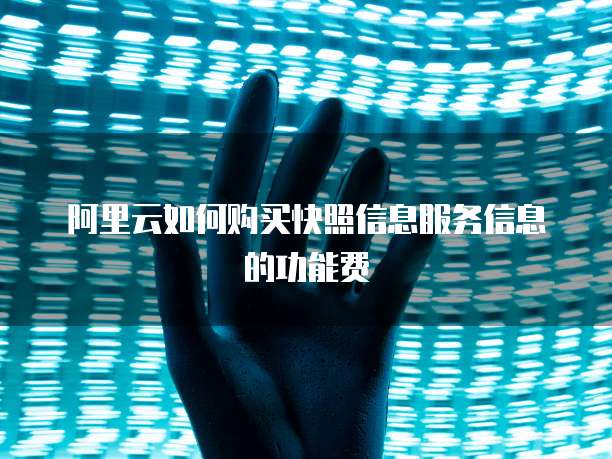 阿里云如何购买快照信息服务信息的功能费