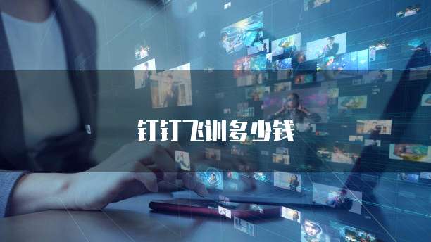 钉钉飞训多少钱