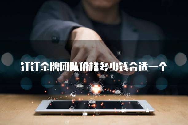 钉钉金牌团队价格多少钱合适一个