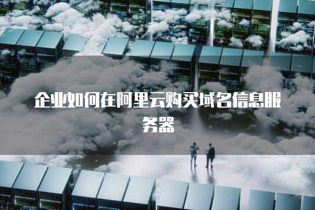 企业如何在阿里云购买域名信息服务器