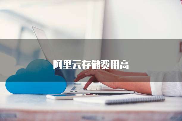 阿里云存储费用高