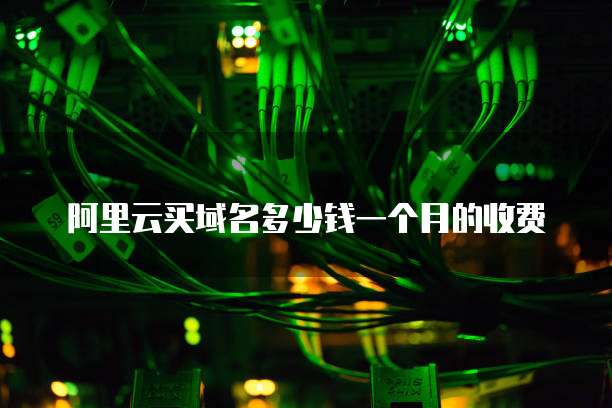 阿里云买域名多少钱一个月的收费