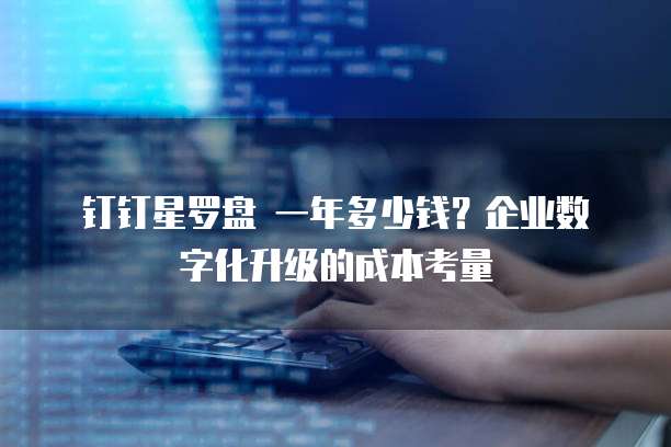 钉钉星罗盘 一年多少钱?企业数字化升级的成本考量