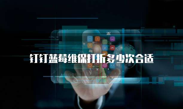 钉钉蓝莓维保打折多少次合适