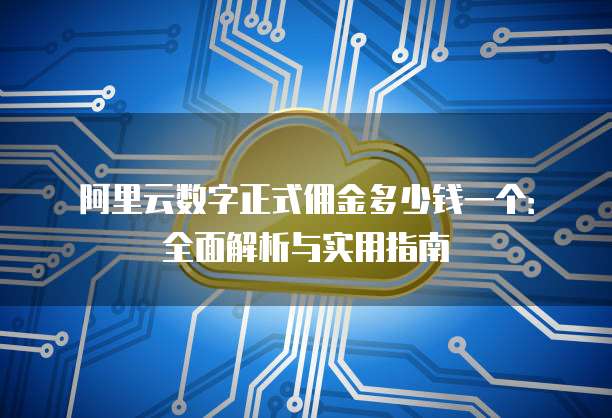 阿里云数字正式佣金多少钱一个:全面解析与实用指南