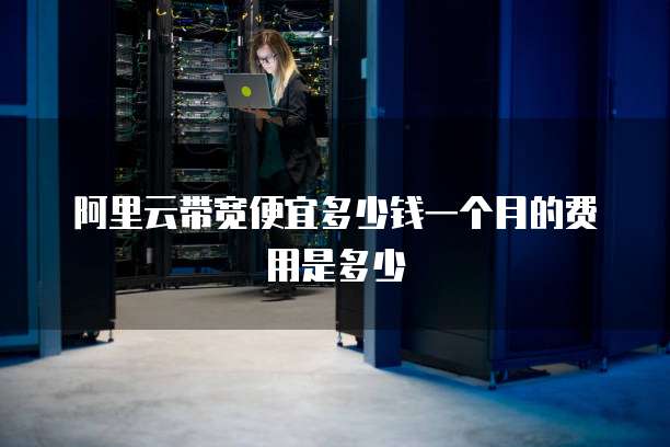 阿里云带宽便宜多少钱一个月的费用是多少