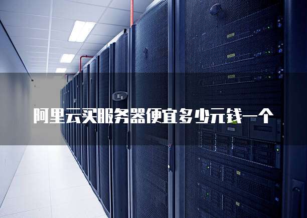 阿里云买服务器便宜多少元钱一个