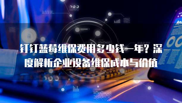 钉钉蓝莓维保费用多少钱一年?深度解析企业设备维保成本与价值