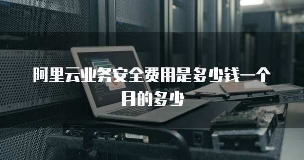阿里云业务安全费用是多少钱一个月的多少