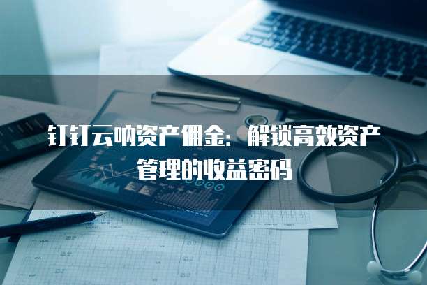 钉钉云呐资产佣金:解锁高效资产管理的收益密码