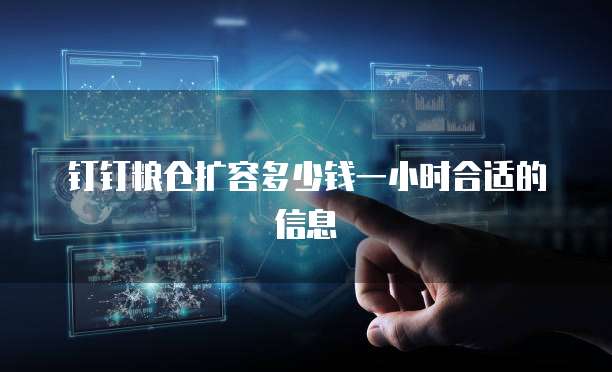 钉钉粮仓扩容多少钱一小时合适的信息