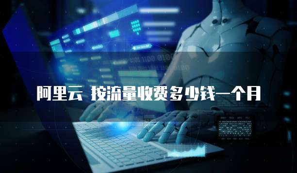 阿里云 按流量收费多少钱一个月