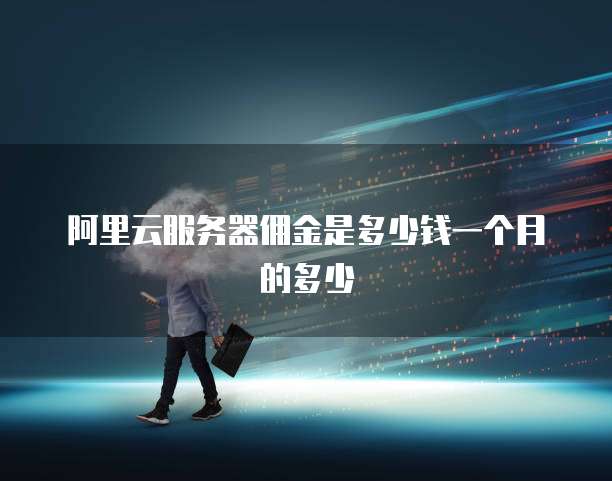 阿里云服务器佣金是多少钱一个月的多少