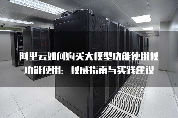 阿里云如何购买大模型功能使用权功能使用:权威指南与实践建议