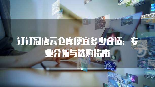 钉钉冠唐云仓库便宜多少合适:专业分析与选购指南