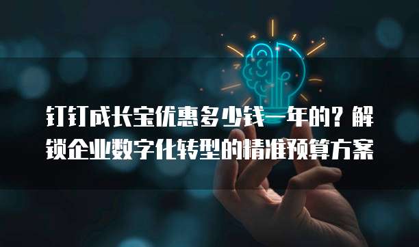 钉钉成长宝优惠多少钱一年的?解锁企业数字化转型的精准预算方案