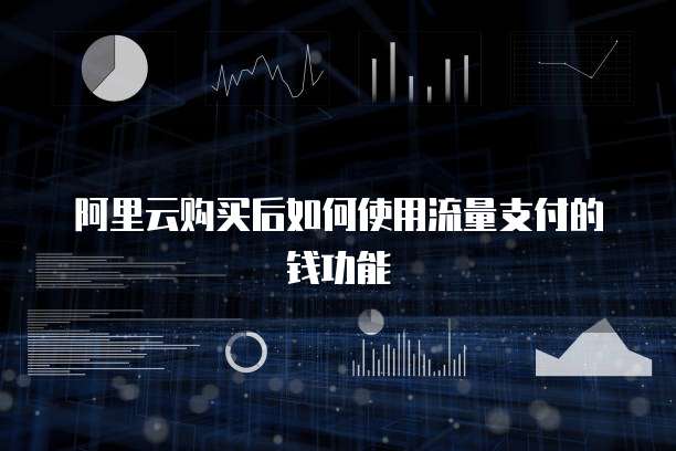 阿里云购买后如何使用流量支付的钱功能
