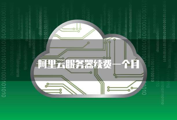 阿里云服务器续费一个月