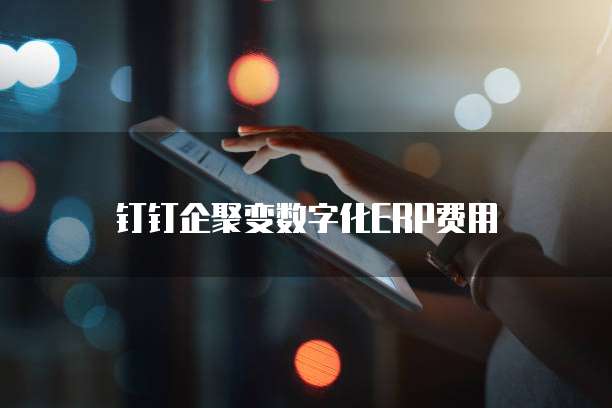 钉钉企聚变数字化ERP费用