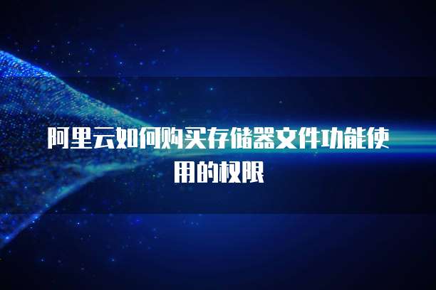 阿里云如何购买存储器文件功能使用的权限