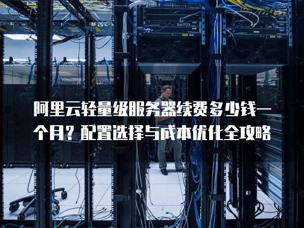 阿里云轻量级服务器续费多少钱一个月?配置选择与成本优化全攻略