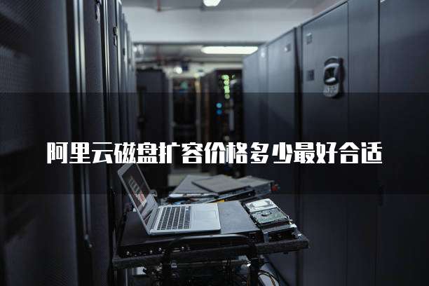 阿里云磁盘扩容价格多少最好合适