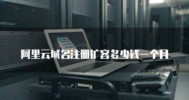 阿里云域名注册扩容多少钱一个月
