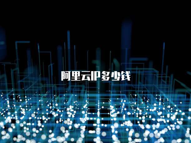 阿里云IP多少钱