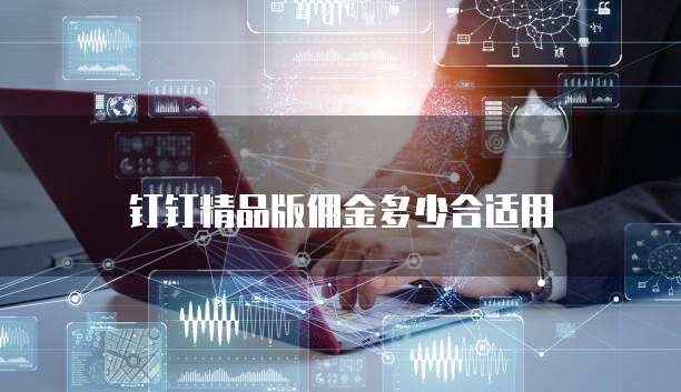 钉钉精品版佣金多少合适用
