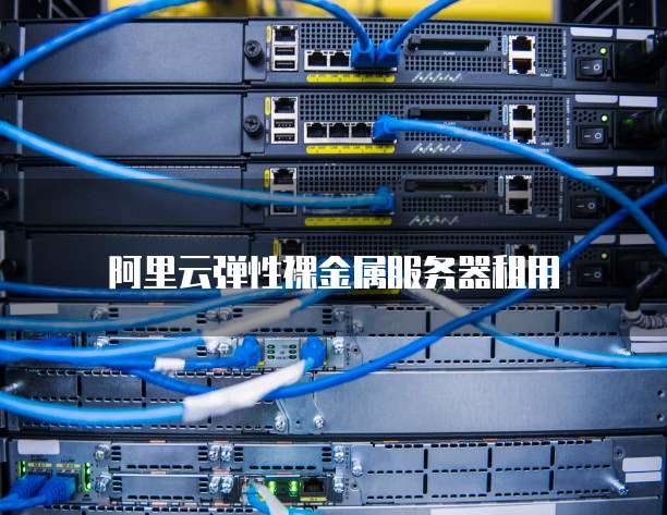 阿里云弹性裸金属服务器租用