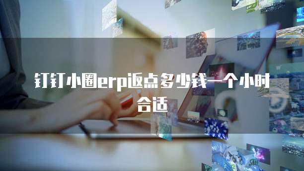 钉钉小圈erp返点多少钱一个小时合适