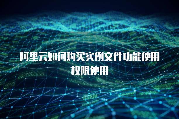 阿里云如何购买实例文件功能使用权限使用