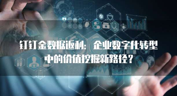 钉钉金数据返利:企业数字化转型中的价值挖掘新路径?