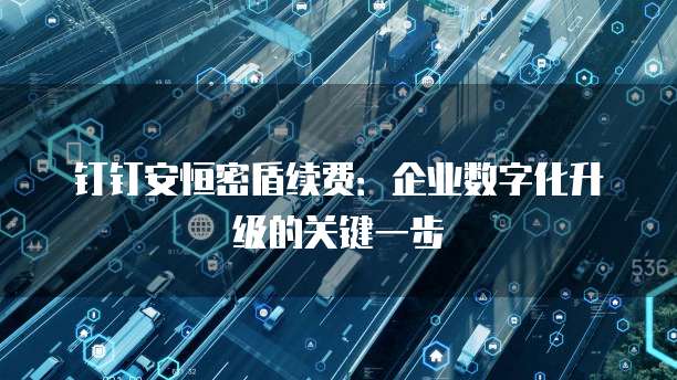 钉钉安恒密盾续费:企业数字化升级的关键一步
