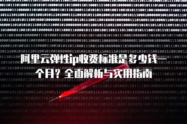 阿里云弹性ip收费标准是多少钱一个月?全面解析与实用指南